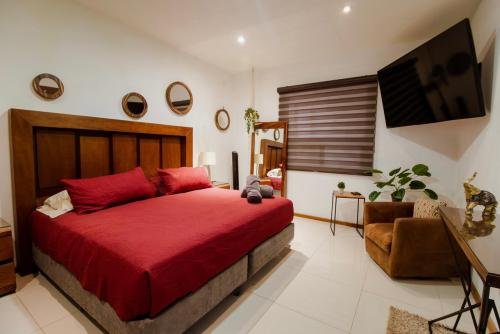 habitacion_1_persiana_