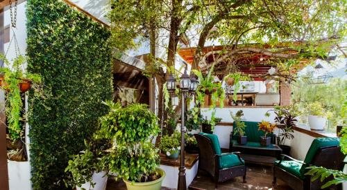 jardin_2