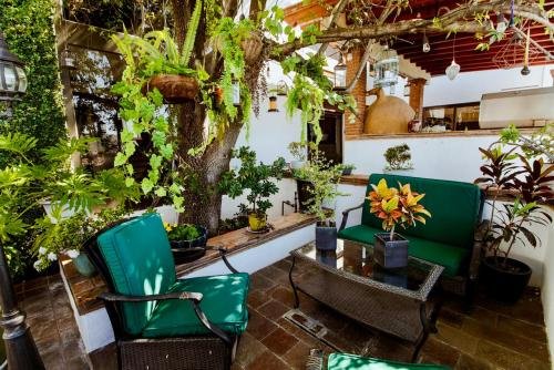 jardin_3