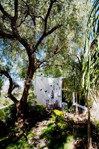 jardin_pepe_mariposas